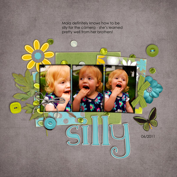 2011_6_Silly