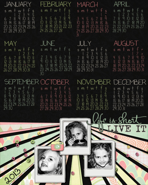 2013 calendars