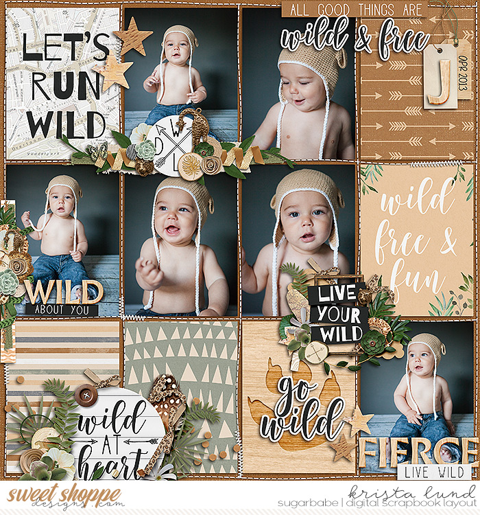 2013 Live Your Wild