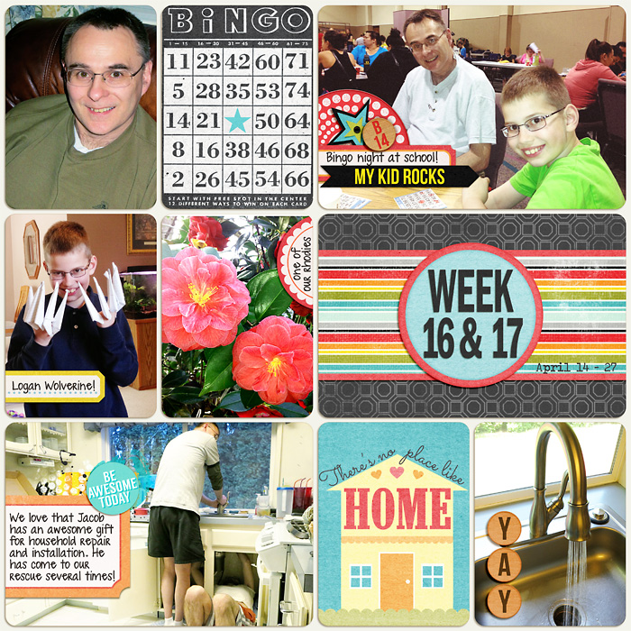 2013- PL Week 16-17b