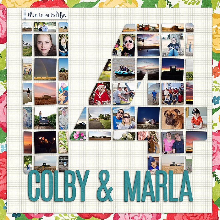 2014 Cover Page