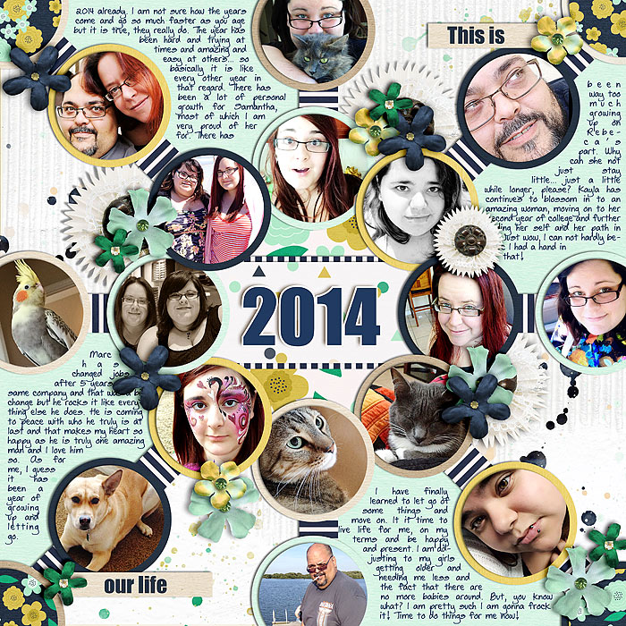 2014 PL Book cover