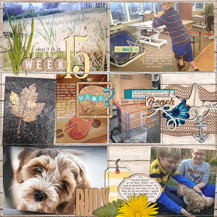 2014 Week 15 (p1)