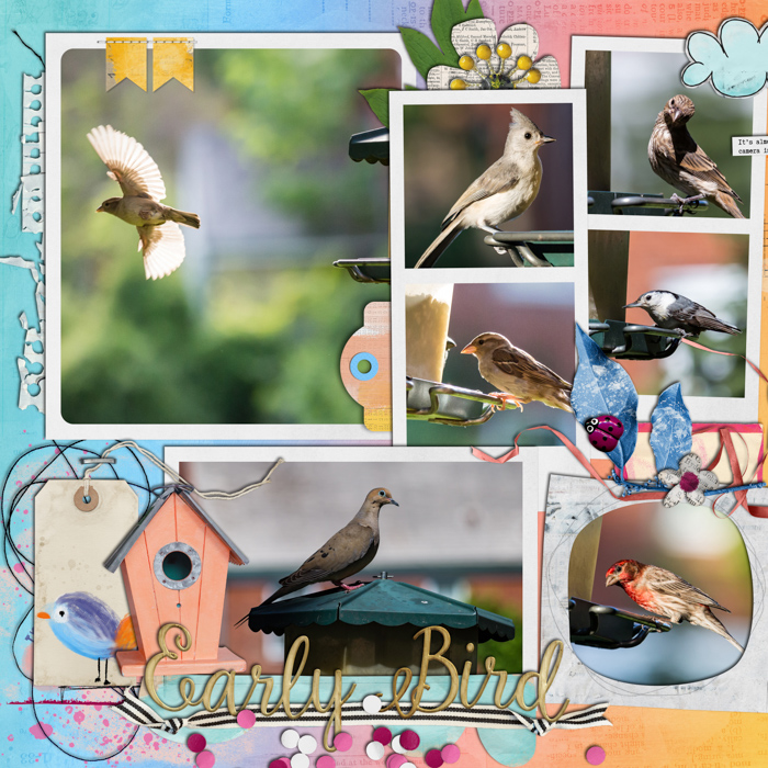 2014 - Week 25 Extra - p1