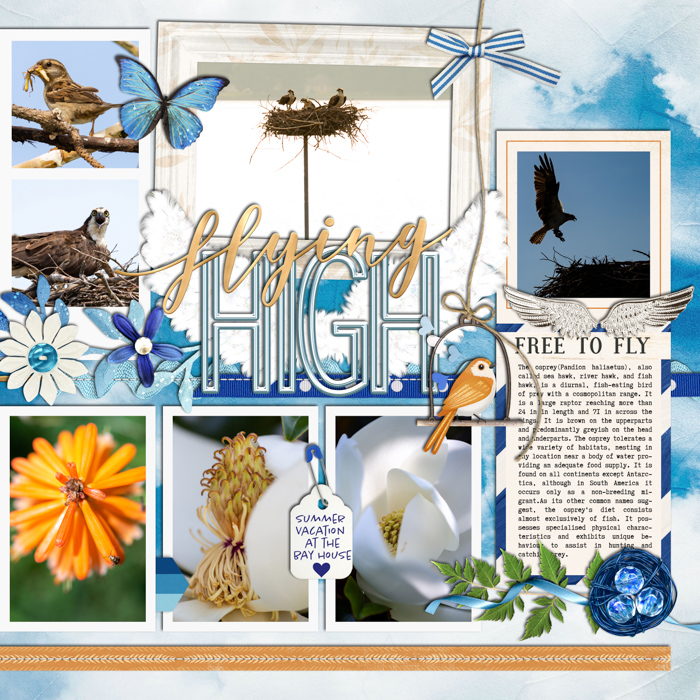 2014 - Week 26 Extra - p2