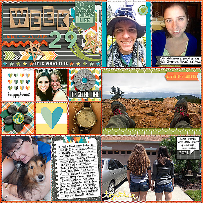 2014 Week 29