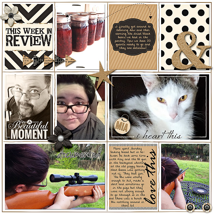 2015 Project Life: Week 1 a