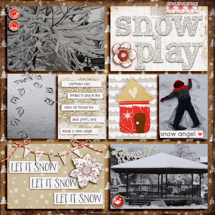 2015 Snow Storm