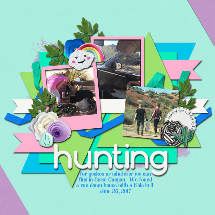 2017-06-26-hunting-lizards