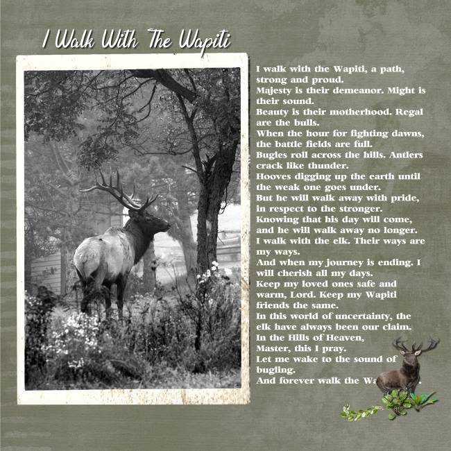 2017 09 22 Walk With The Wapiti