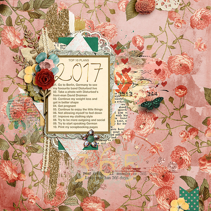2017 plans
