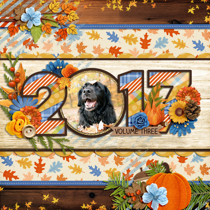2017 vol 3 cover
