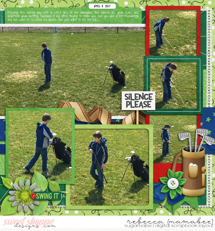 2017_4_8-backyard-golf-cschneider-DTF9right