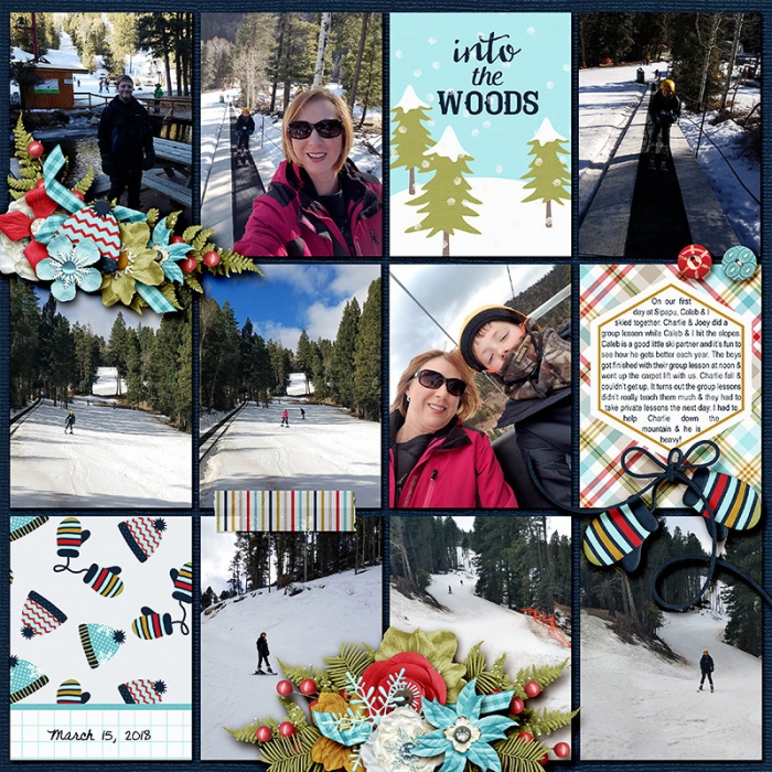 2018-3-15-skiing-left-web