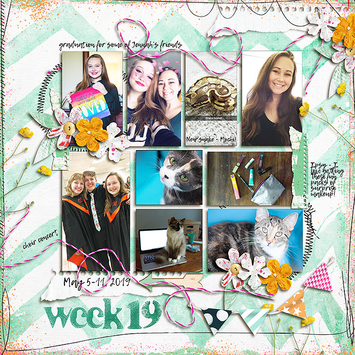 2019 week 19