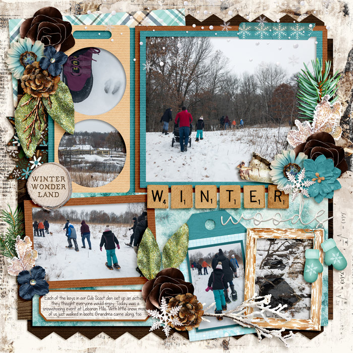 20191227 snowshoeing
