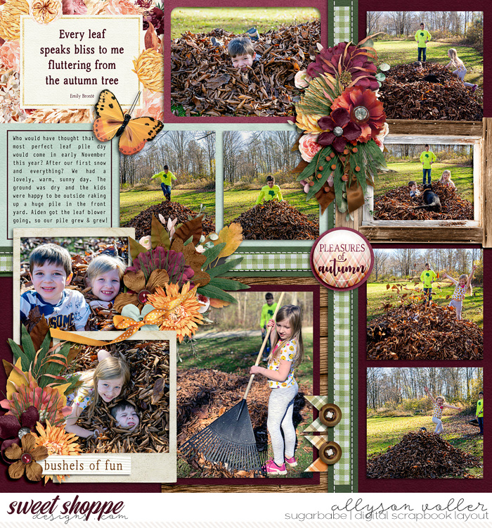 2020 Leaf Pile left