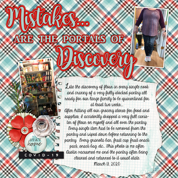 2020_march_13_flour_disaster_dsi_covid_19