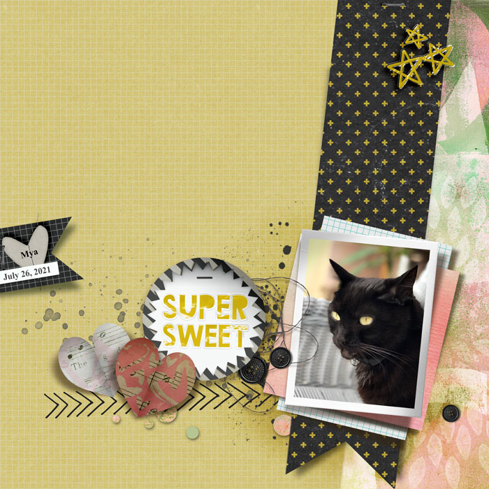 2021 0801 SummerShadowbox