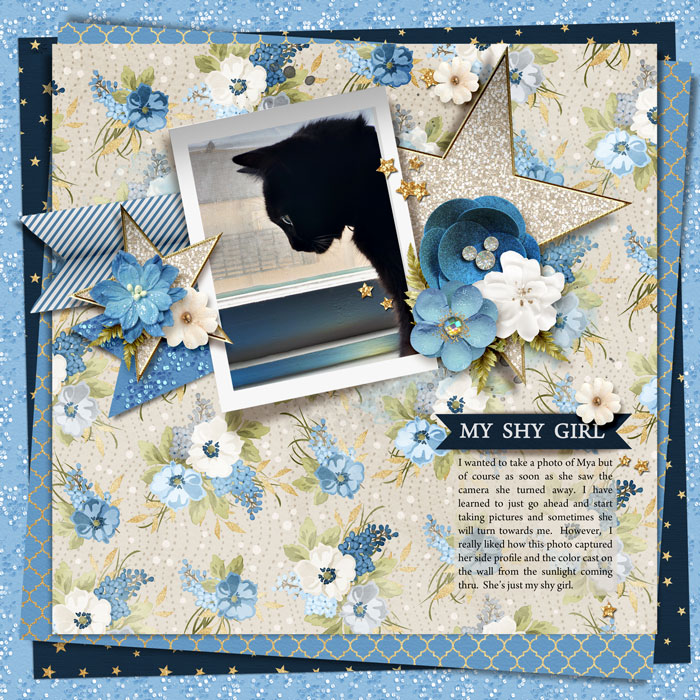 2021 0809 SummerShadowbox