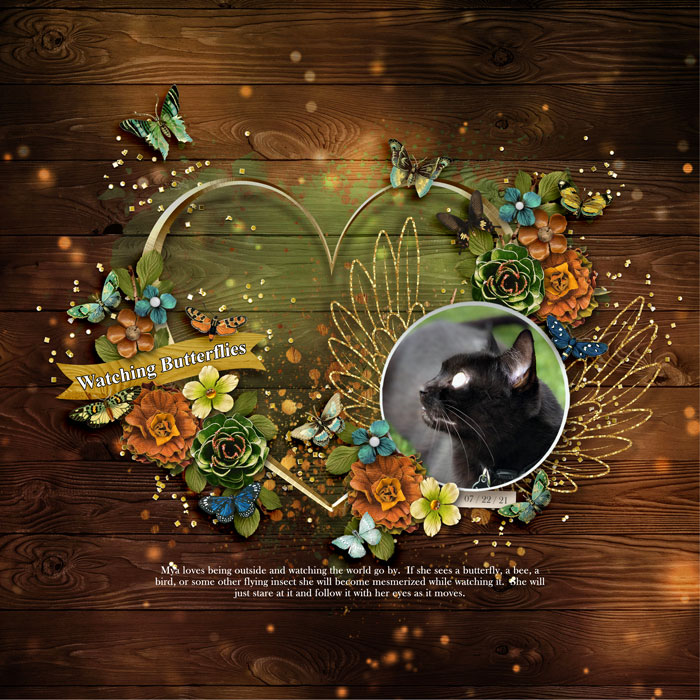 2021 0824 SummerShadowbox
