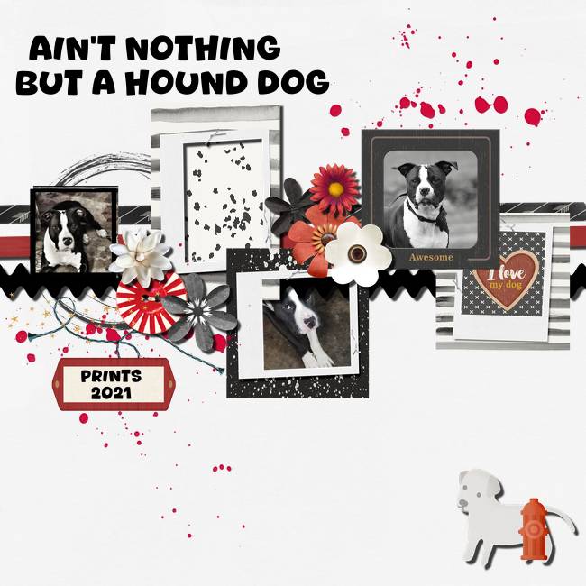 2021 Nothing but a Hound Dog