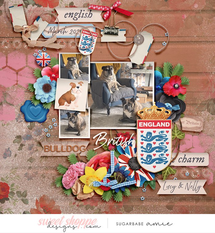 2021_3_British Bulldog-babe.jpg