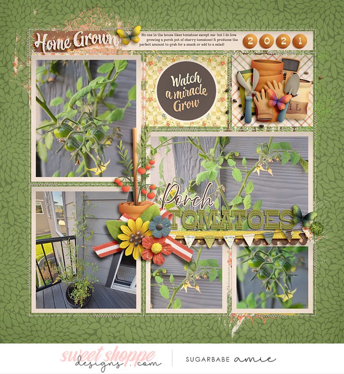 2021_9_Porch Tomatoes-babe.jpg