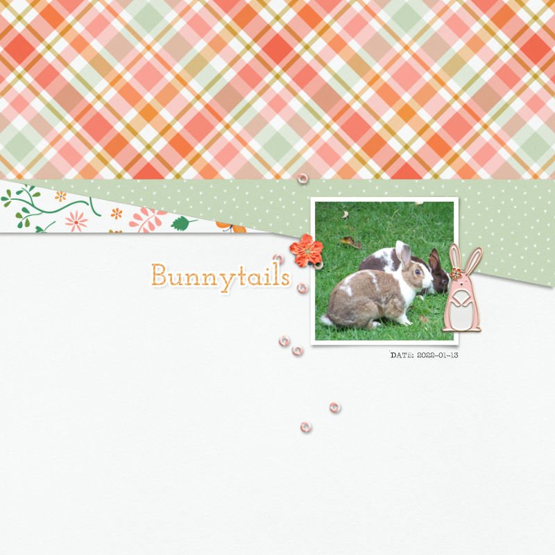 2022-01-13_Bunnytails