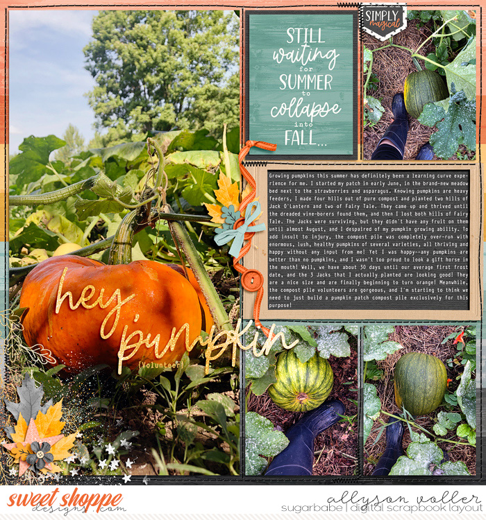 2022 pumpkins left