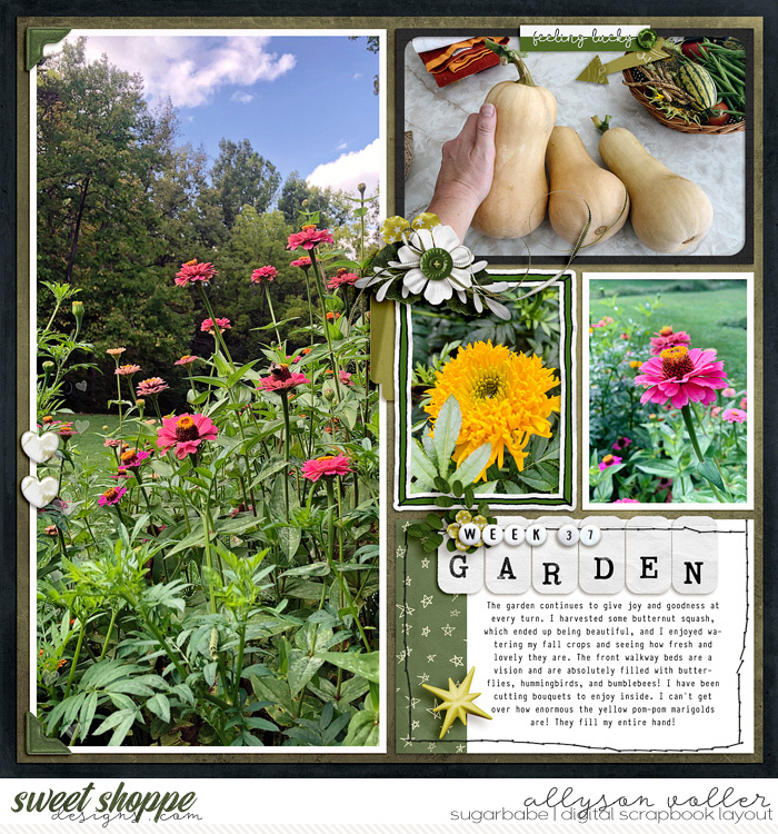 2023 Garden notes 37 left