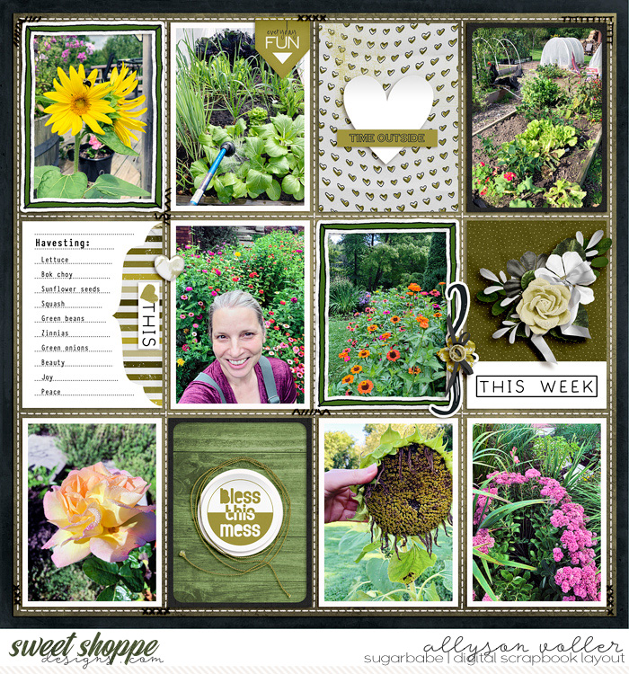 2023 Garden notes 37 right