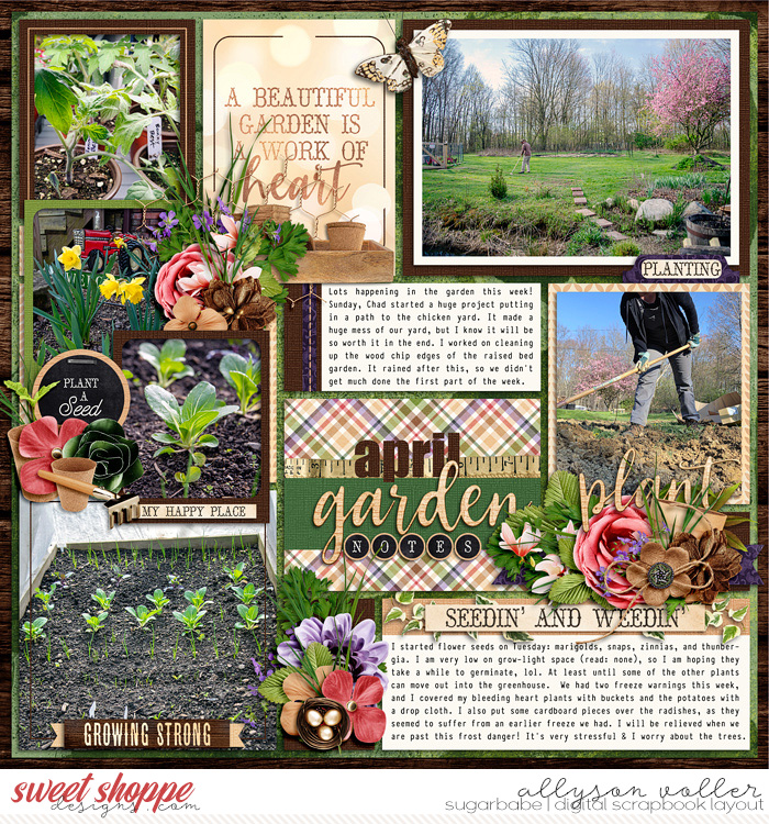 2023 Garden notes week 17 left