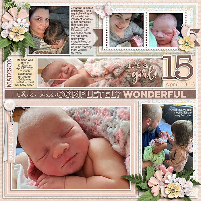2023 Week 15