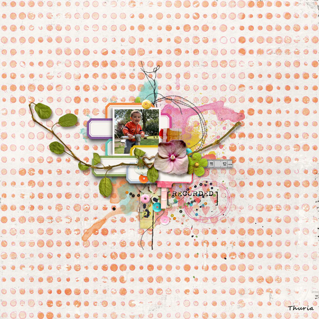 2024 11 - Labels challenge