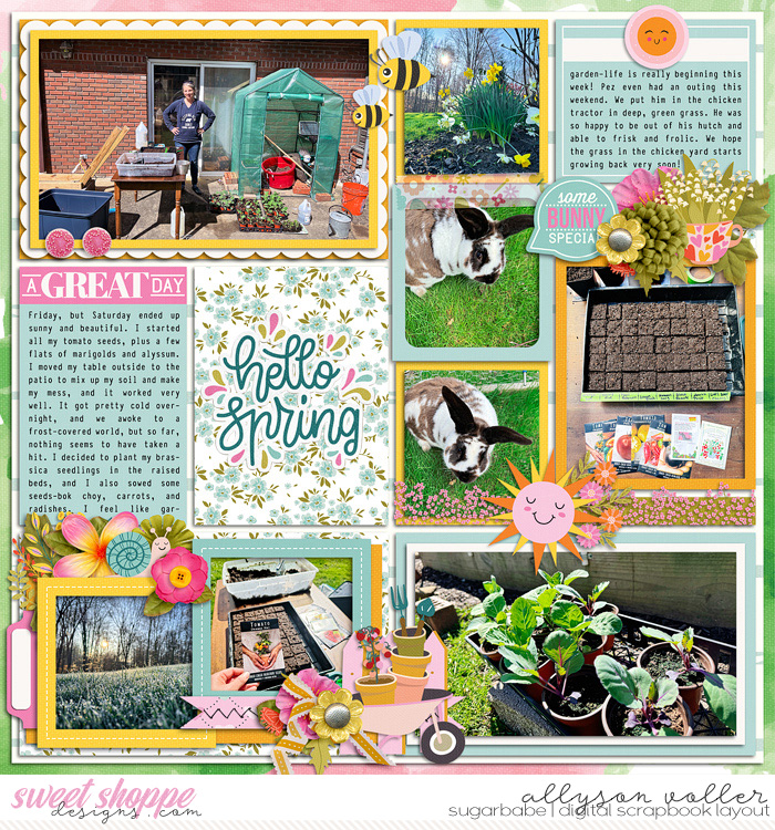2024 14 week garden notes 02