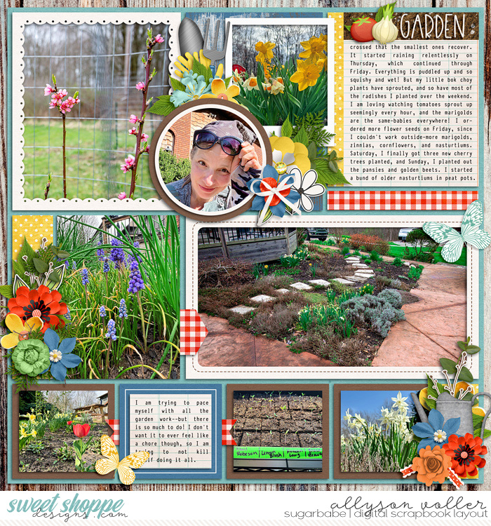 2024 15 week garden notes 01