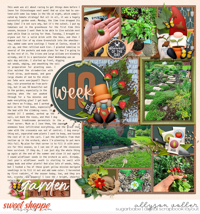 2024 19 week garden notes 01