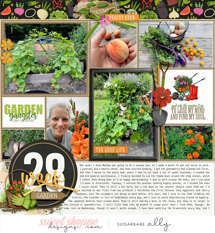 2024 Garden notes week 28 left