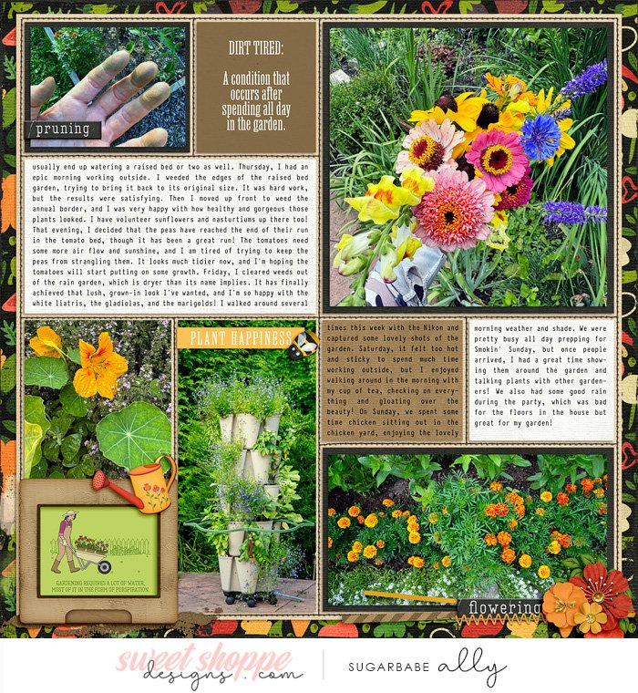 2024 Garden Notes week 28 right