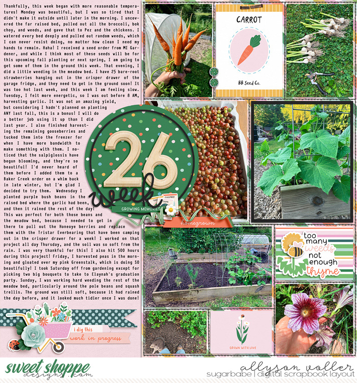 2024 PL 26 week garden notes 01
