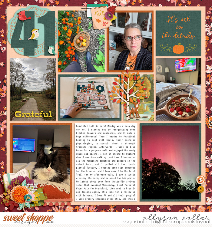 2024 PL 41 week 01