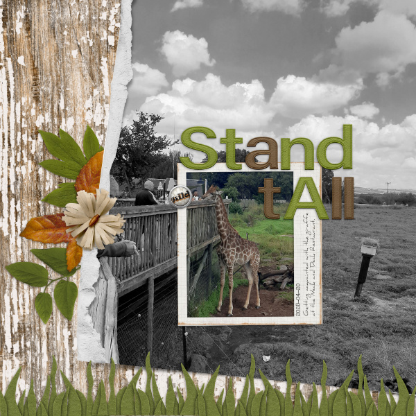2025-04-20_StandTall