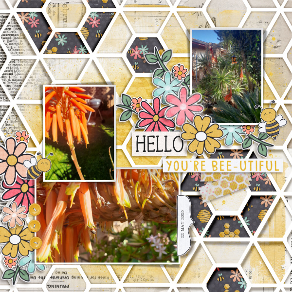 2025-05-22_Bee-utiful