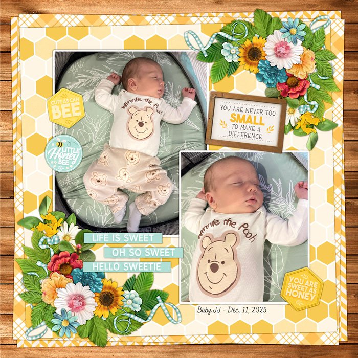 2025-12-11-babyJJ