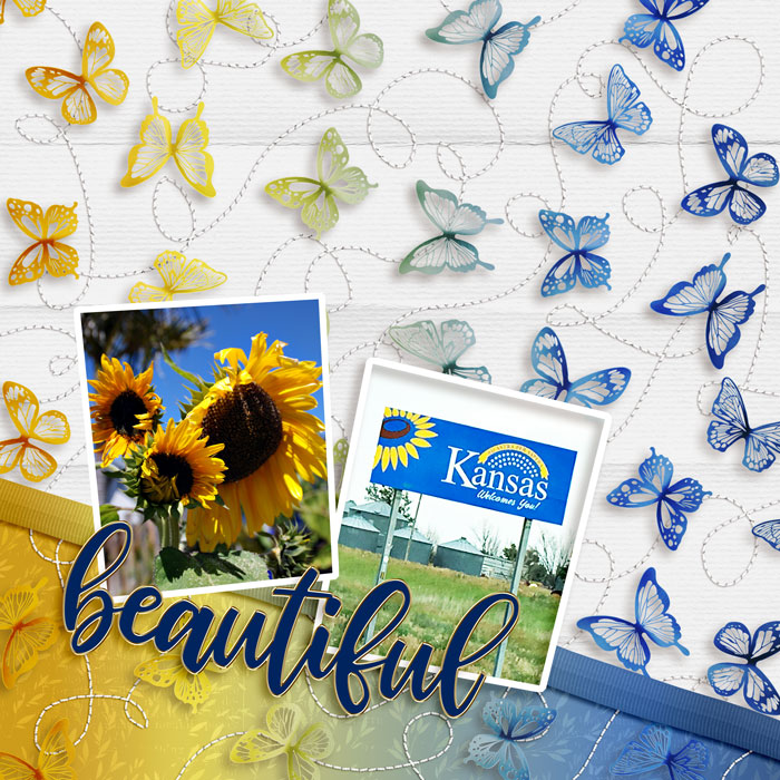2025 Summer Shadowbox Aug 26 Opt 1