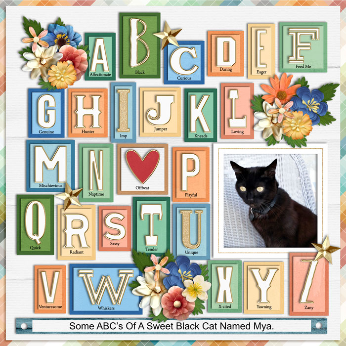 2025 Summer Shadowbox Aug 29 Opt1