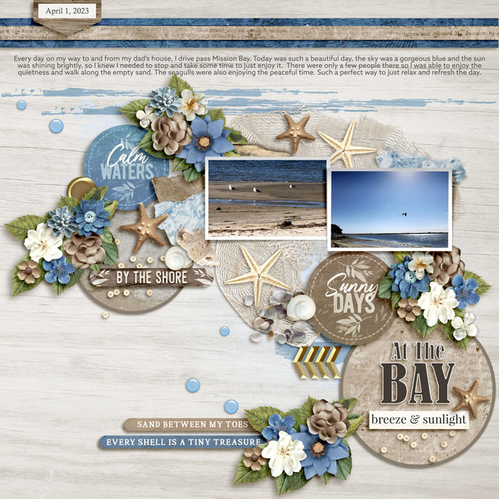2025 Summer Shadowbox Aug 7 Opt 2