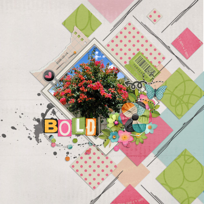 2026-02-14_Bold
