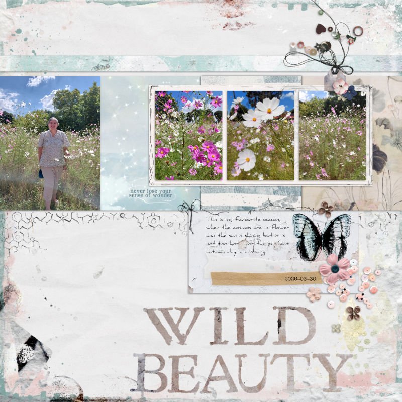 2026-03-30_WildBeauty